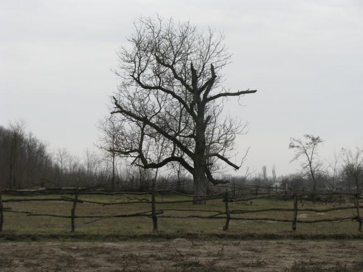 Чулаківка з panoramio.com - Чулаковка