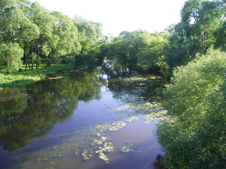 Великі Мости з panoramio.com - Великі Мости