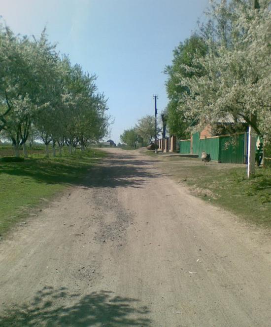 Ковалівка з panoramio.com - Ковалівка