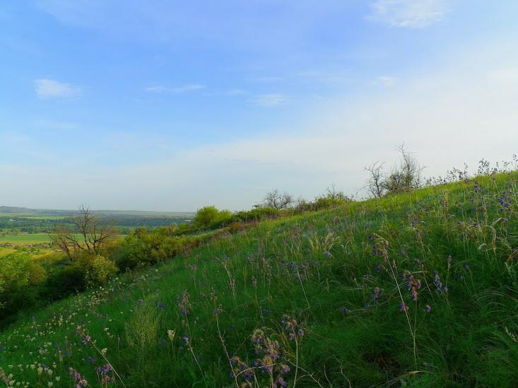 Біле з panoramio.com - Белое
