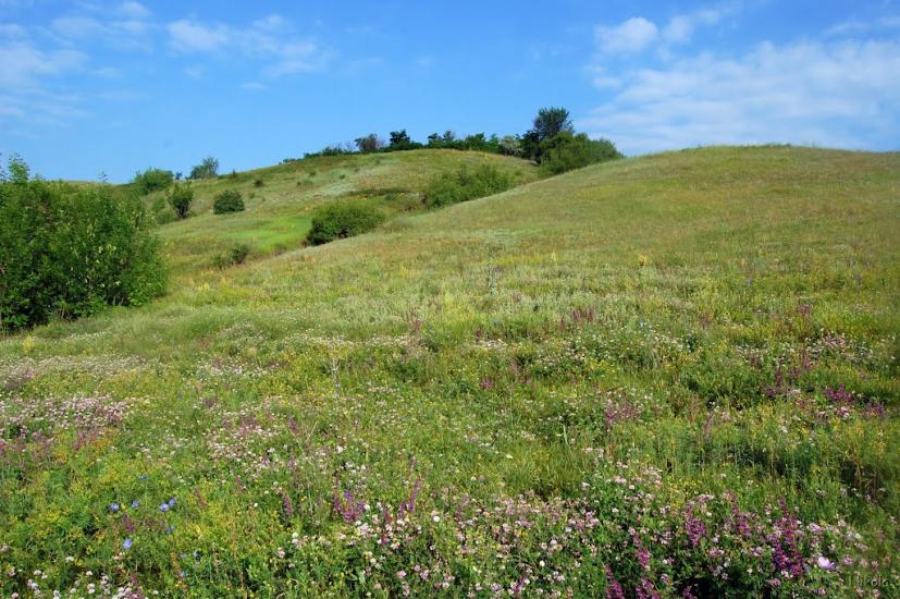 Пристине з panoramio.com - Пристине