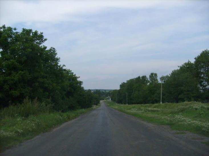 Браїлів з panoramio.com - Brayiliv