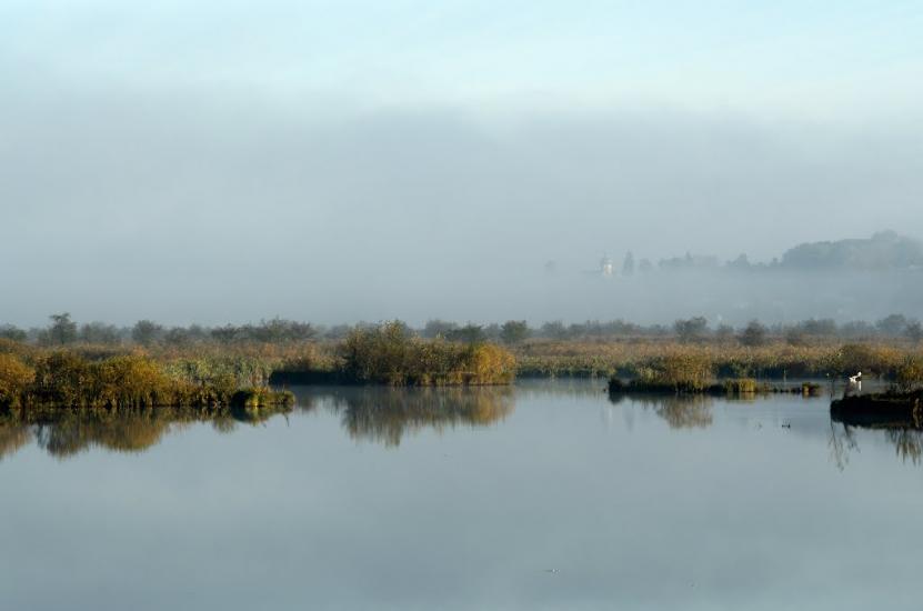 Плотича з panoramio.com - Плотыча