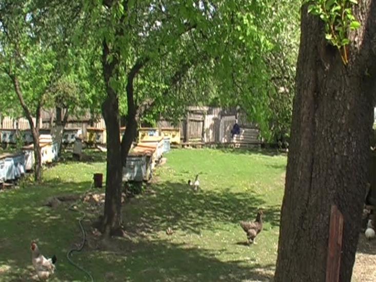 Горошків з panoramio.com - Goroshkiv