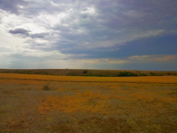 Каштани з panoramio.com - Каштани