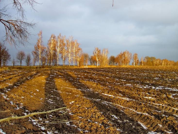 Рибчинці з panoramio.com - Rybchyntsi