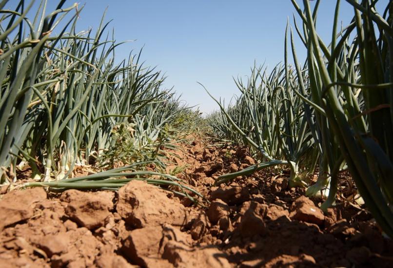 Сезенків з panoramio.com - Сезенков