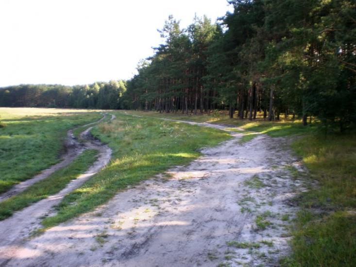 Облапи з panoramio.com - Oblapy