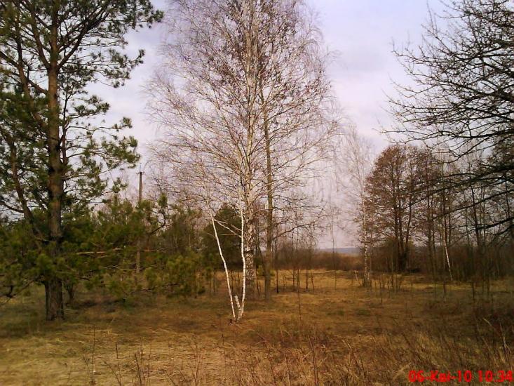 Дудки з panoramio.com - Дудки