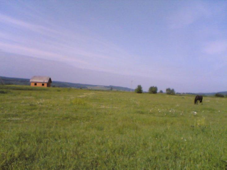 Блюдники з panoramio.com - Блюдники