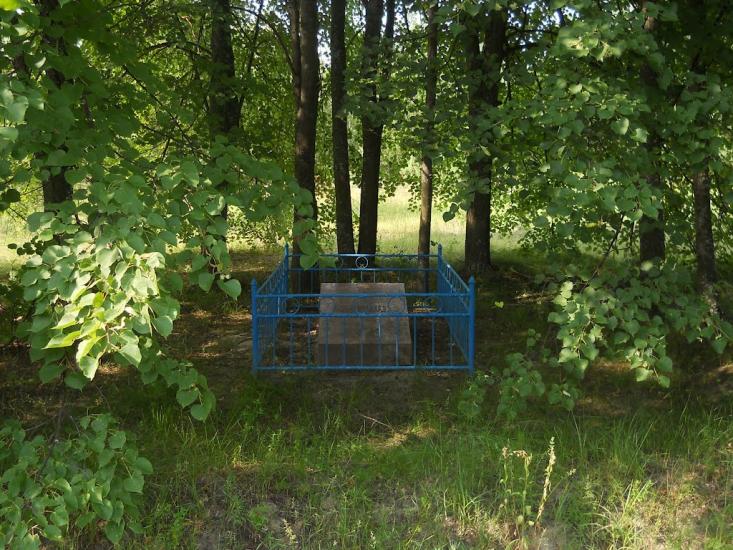 Березневе з panoramio.com - Березневе