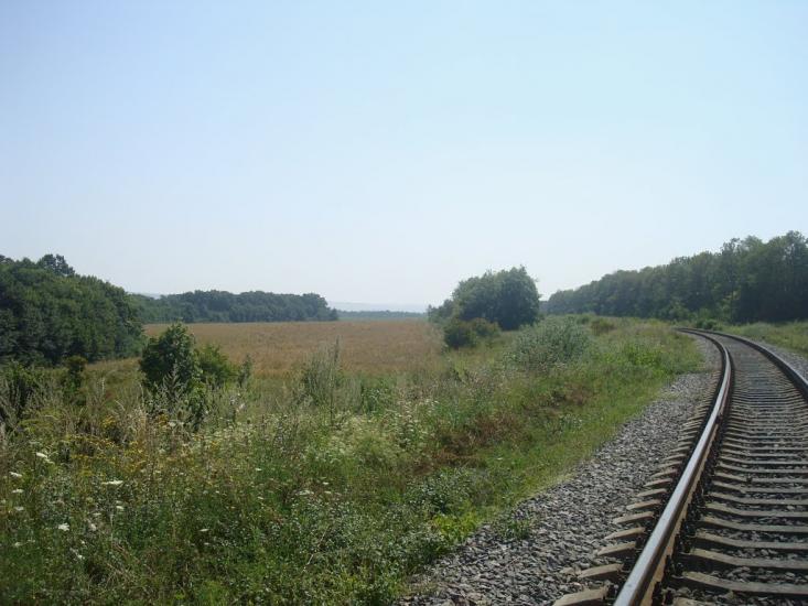 Тарасівка з panoramio.com - Тарасовка