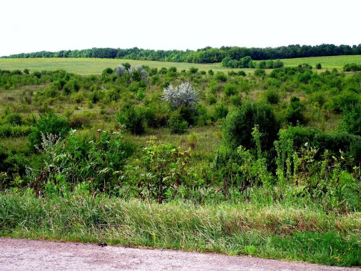 Садківці з panoramio.com - Садківці