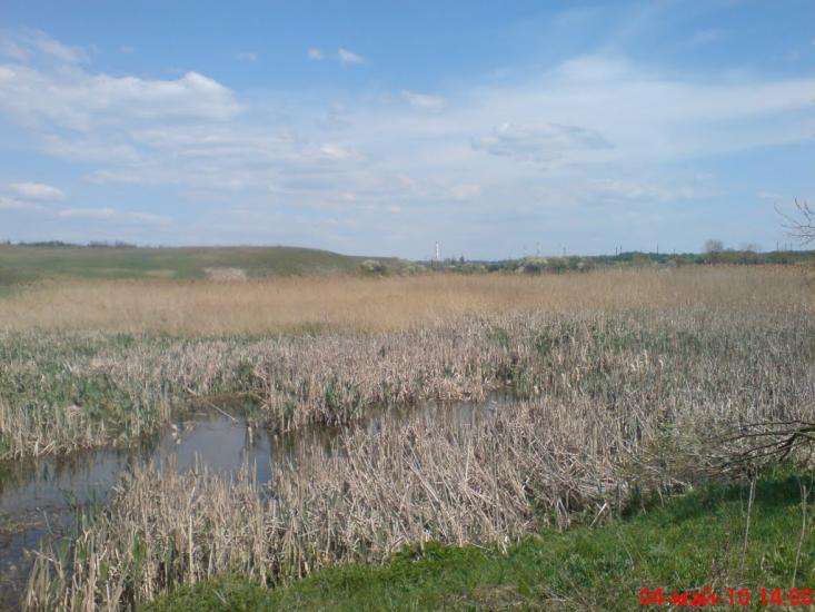 Спірне з panoramio.com - Спірне