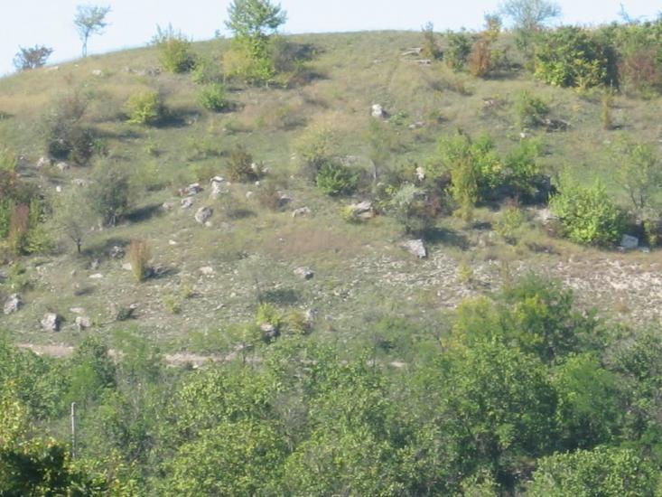 Шершенці з panoramio.com - Shershentsi