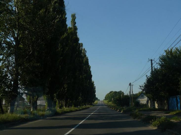 Павлиш з panoramio.com - Павлыш