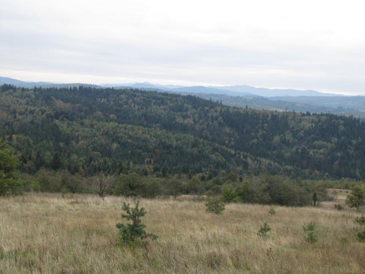 Опака з panoramio.com - Opaka