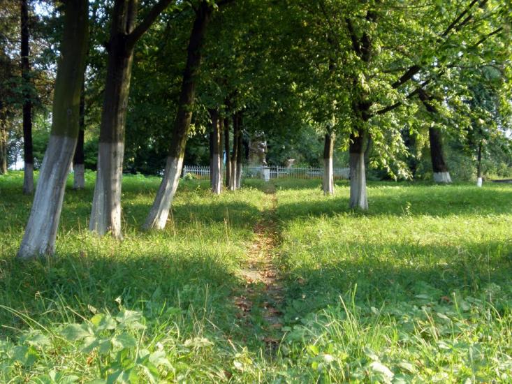 Облапи з panoramio.com - Oblapy