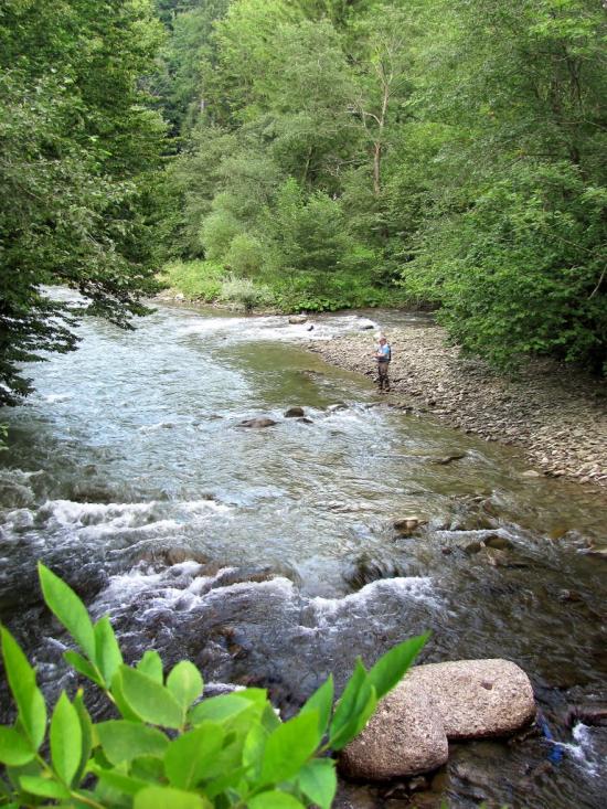 Сасівка з panoramio.com - Сасівка