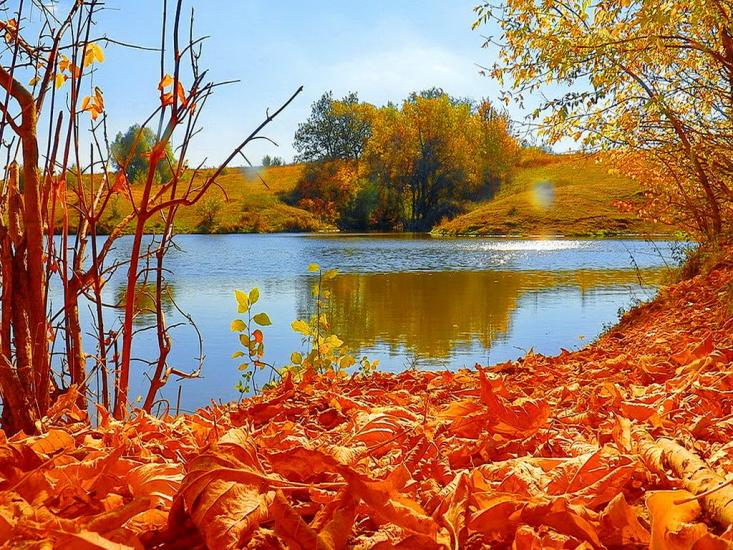 Данилове з panoramio.com - Данилово