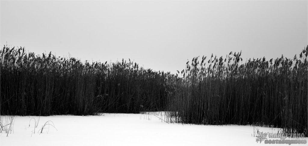 Мала Перещепина з panoramio.com - Малая Перещепина