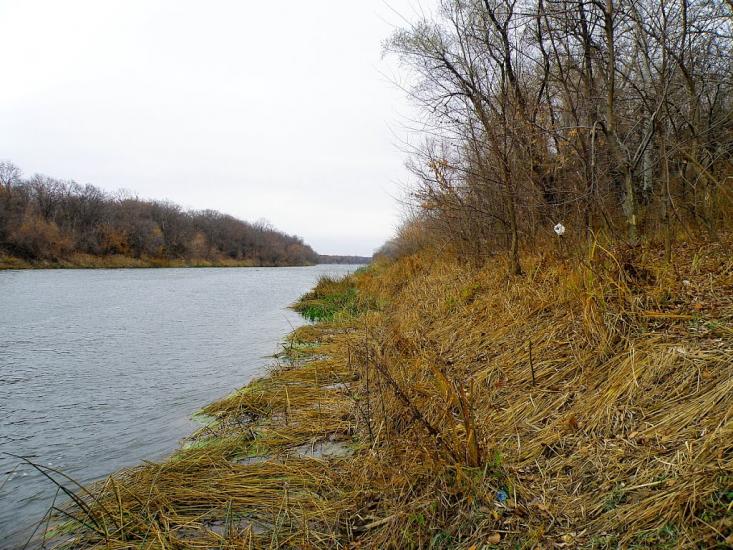 Кружилівка з panoramio.com - Kruzhylivka