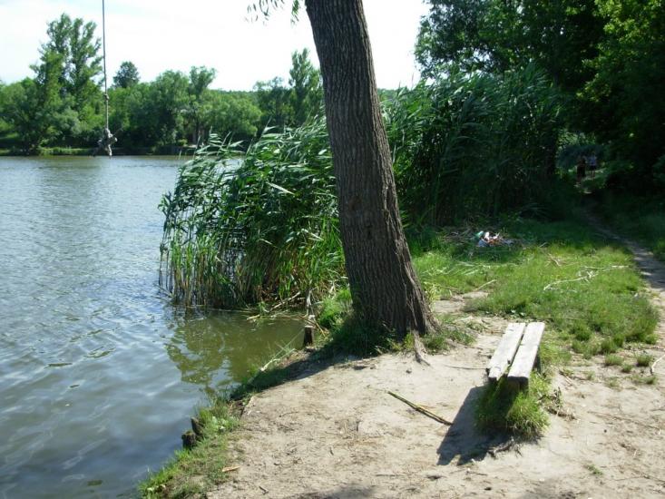 Високий з panoramio.com - Высокий