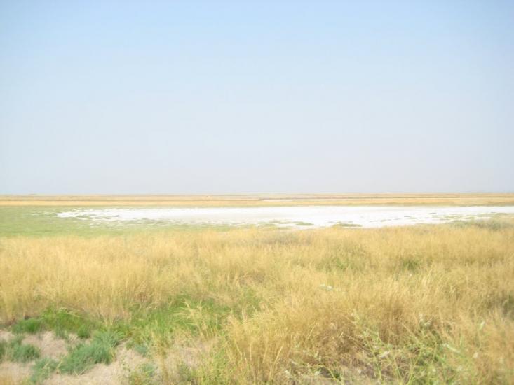 Геніченська Гірка з panoramio.com - Геническая Горка