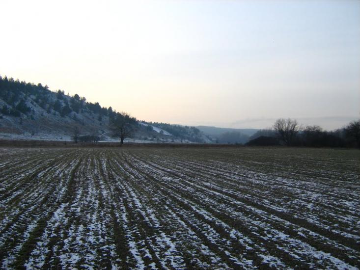 Крива Лука з panoramio.com - Кривая Лука