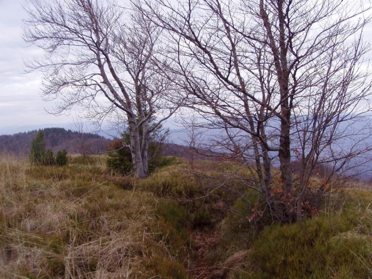 Руський Мочар з panoramio.com - Русский Мочар