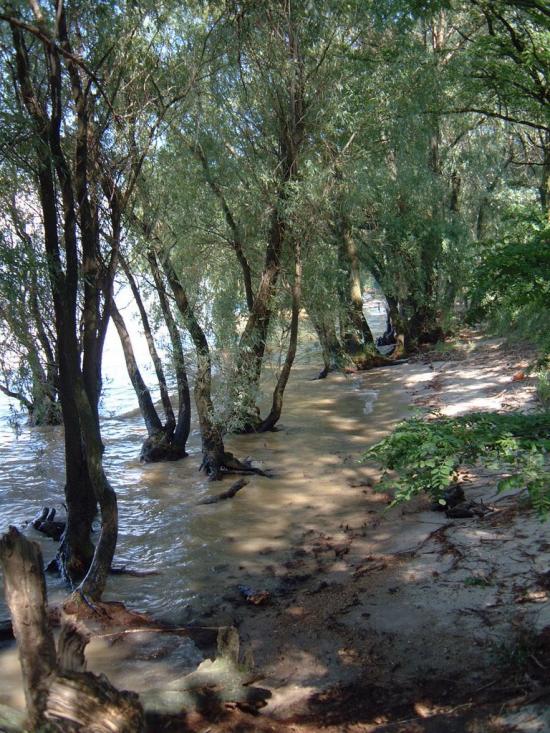 Нагірне з panoramio.com - Nagirne