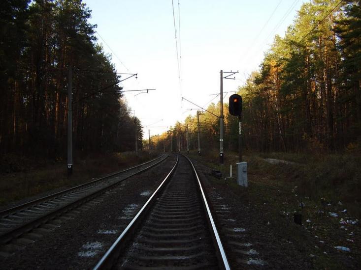 Княжичі з panoramio.com - Княжичи