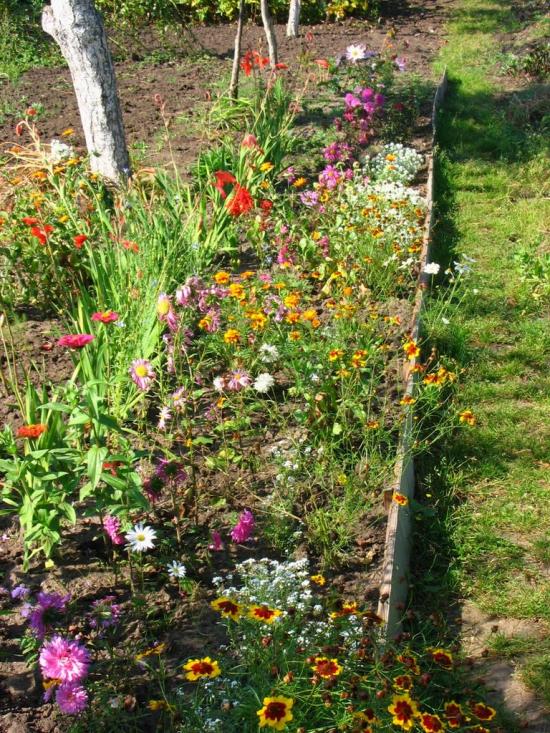 Смиківці з panoramio.com - Смиківці