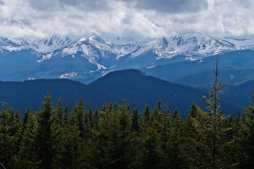 Кривопілля з panoramio.com - Кривопілля