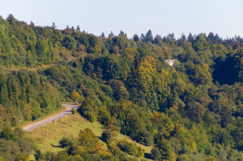 Ужок з panoramio.com - Uzhok