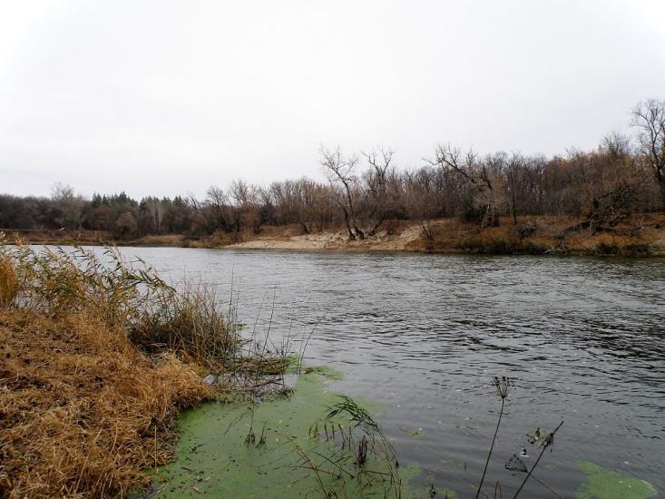 Кружилівка з panoramio.com - Kruzhylivka