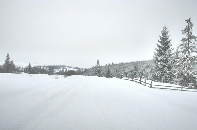 Нижня Яблунька з panoramio.com - Nyzhnya Jablunka