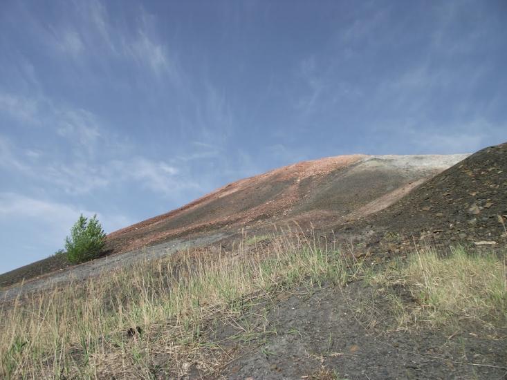 Червонопартизанськ з panoramio.com - Червонопартизанськ