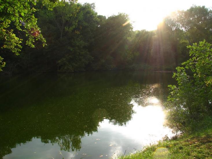 Сковородинівка з panoramio.com - Сковородинівка