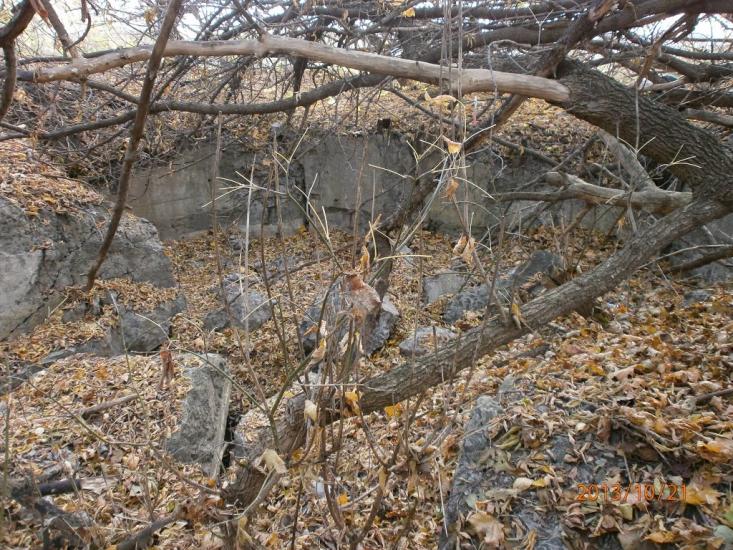Віта-Поштова з panoramio.com - Віта-Поштова