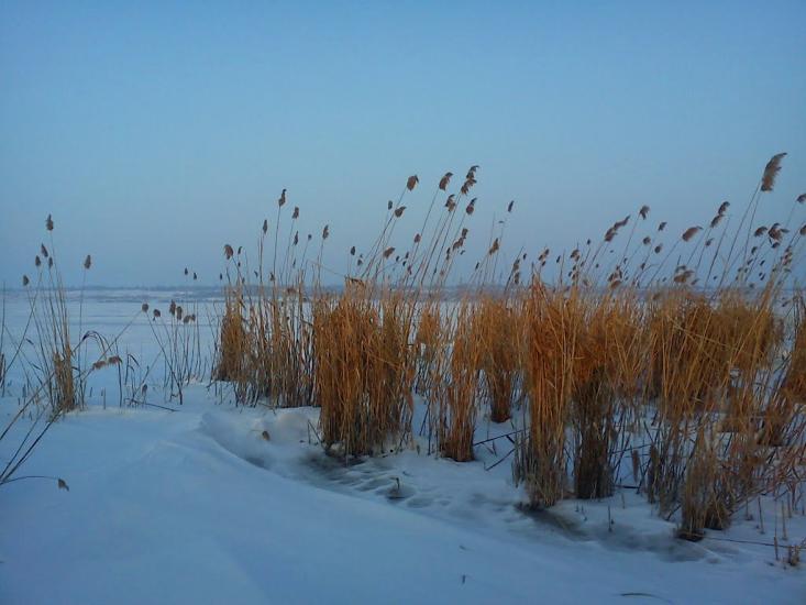 Суворове з panoramio.com - Suvorove