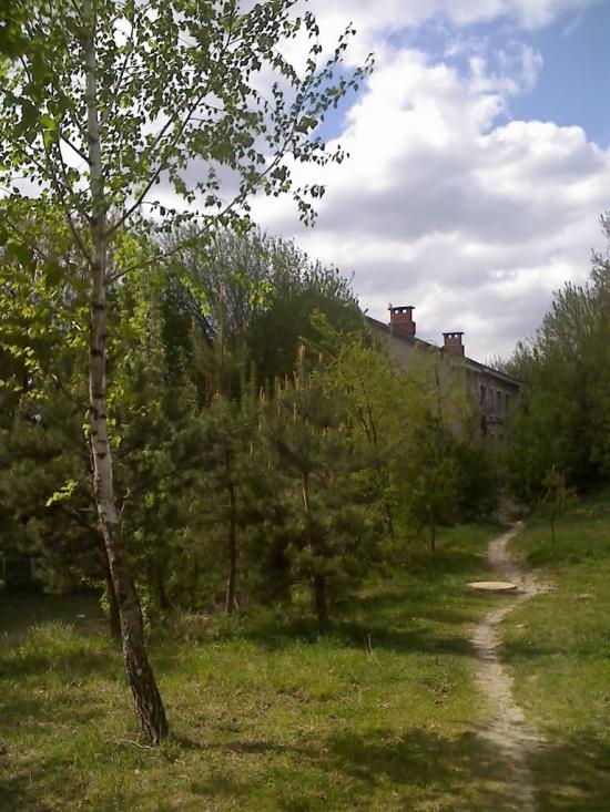 Великі Бірки з panoramio.com - Великие Борки