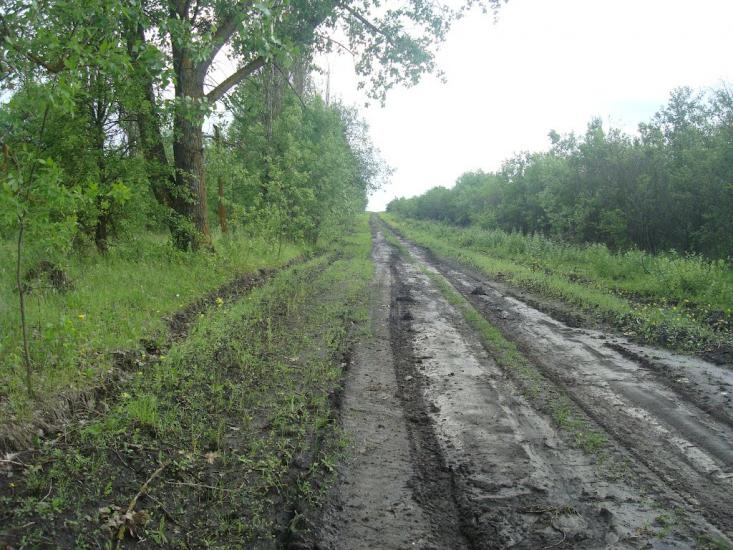 Стуфчинці з panoramio.com - Стуфчинцы
