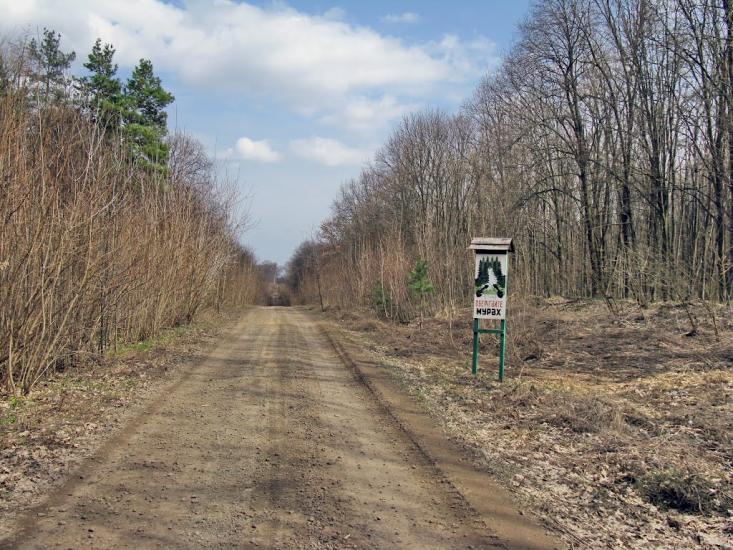 Бандурове з panoramio.com - Бандурове