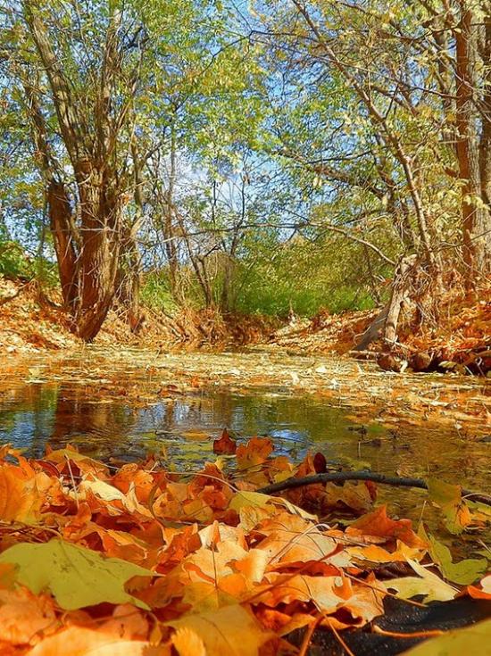 Данилове з panoramio.com - Данилово