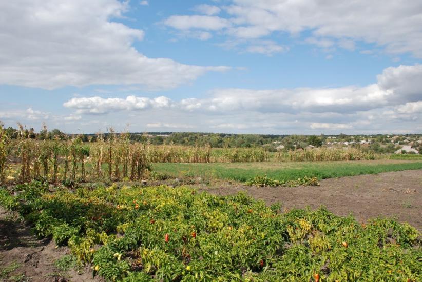 Пархомівка з panoramio.com - Пархомовка