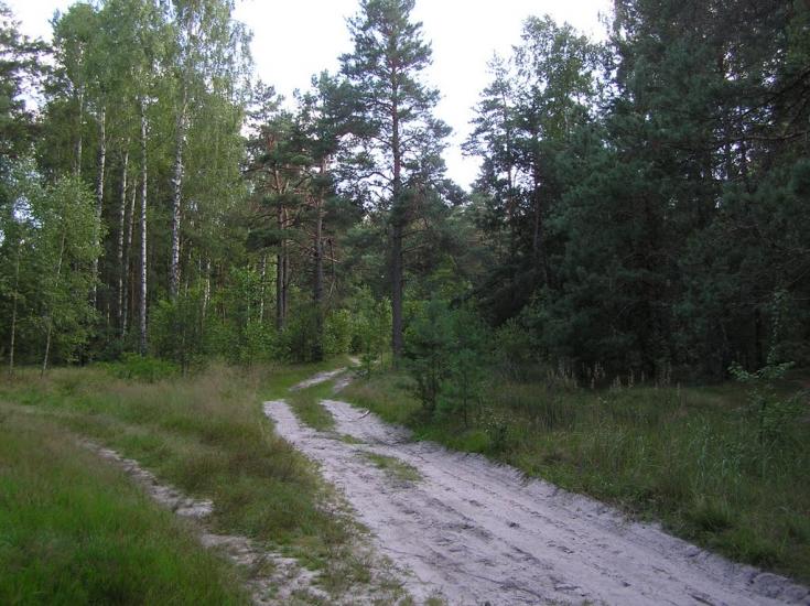Струмок з panoramio.com - Струмок
