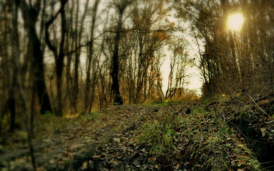Великий Тростянець з panoramio.com - Великий Тростянець