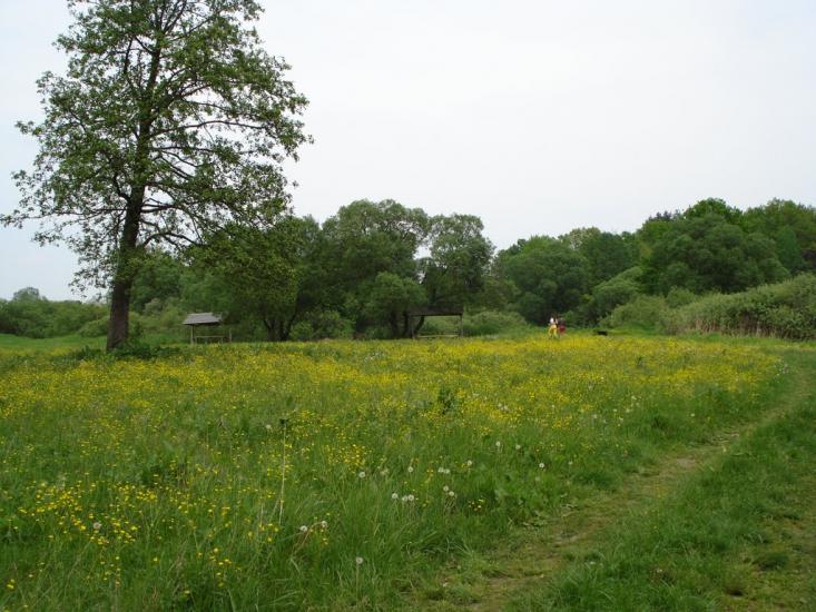 Куликовичі з panoramio.com - Kulykovychi