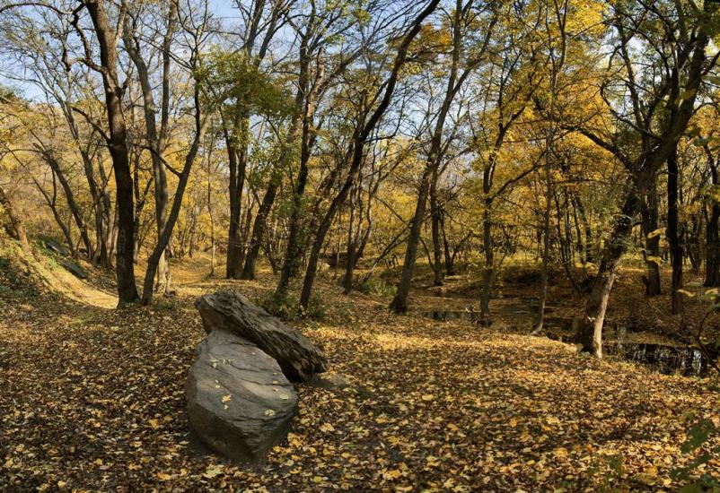 Черемшине з panoramio.com - Черемшине